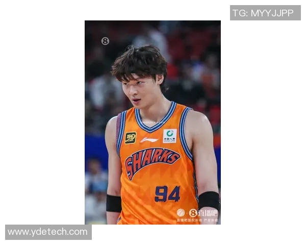 王哲林的篮球之路：从青涩少年到CBA巨星的成长历程与辉煌成就