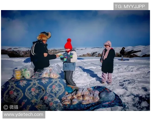 赫尔辛堡与北平雪的激烈对决展现冰雪运动的魅力与激情