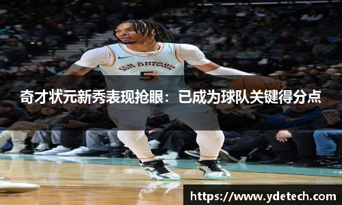 3377体育官网