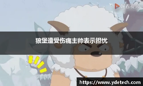 狼堡遭受伤痛主帅表示担忧
