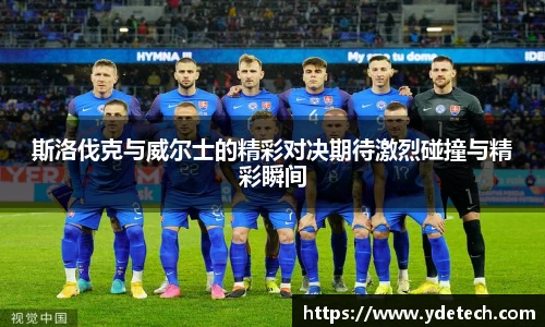 3377体育官网