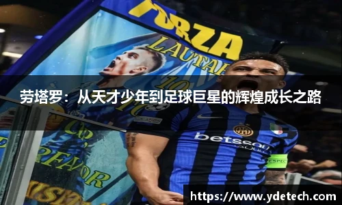 3377体育官网